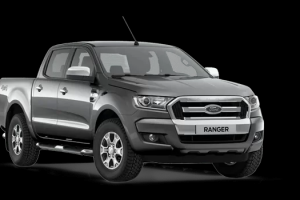 Camiones Pick-ups Sin datos venta